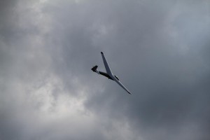 78 - IMG_0344